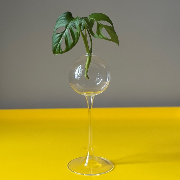 Firelight Glass Hurricane Oil Candle Stick Glass Bud Vase Plant Propagation 8” - Picture 2 of 9